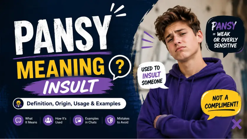 pansy meaning insult